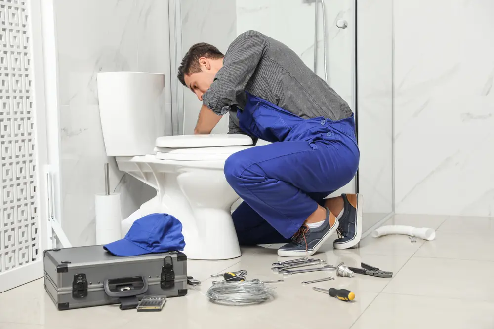 Toilet Repair in Hayward